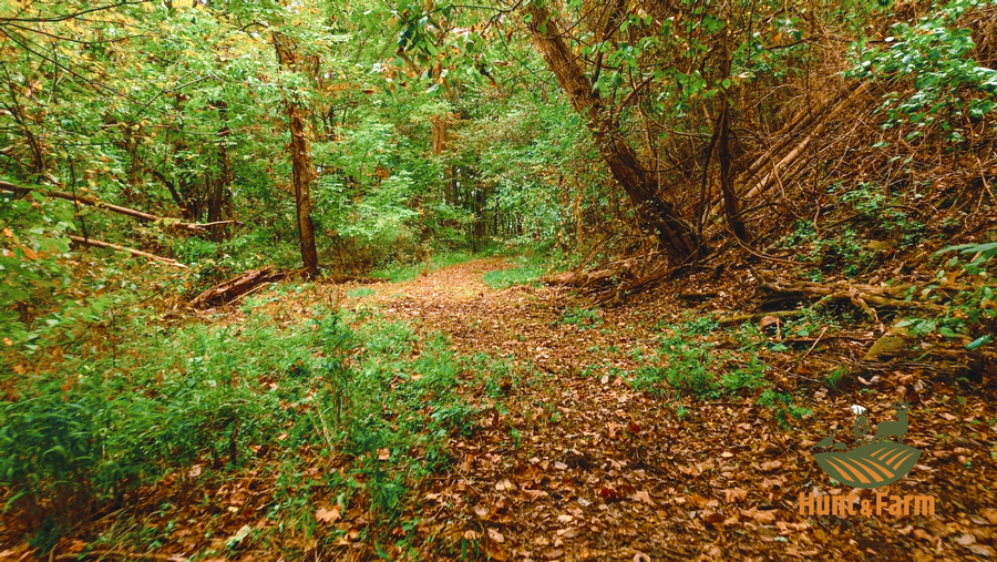 Still 2025-10-30 092500_1.22.1.png